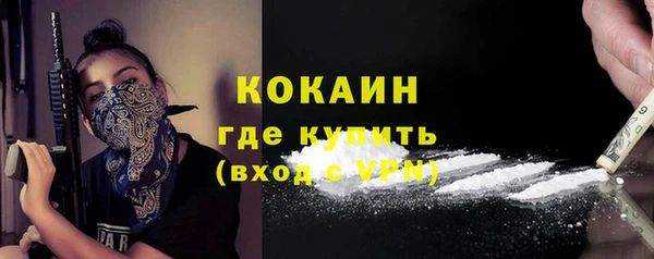 гидра Аркадак