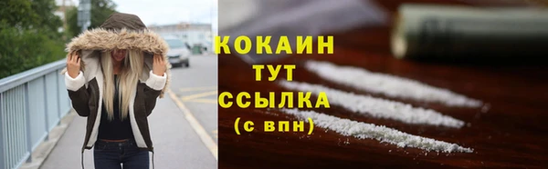 гидра Аркадак