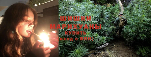 гидра Аркадак