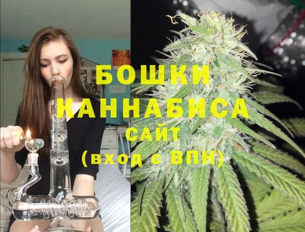 гидра Аркадак