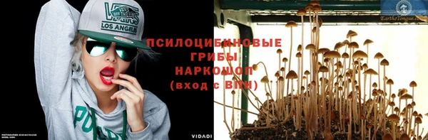 круглые Арсеньев