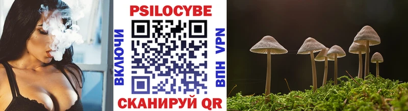 наркотики  Лихославль  Псилоцибиновые грибы Cubensis 